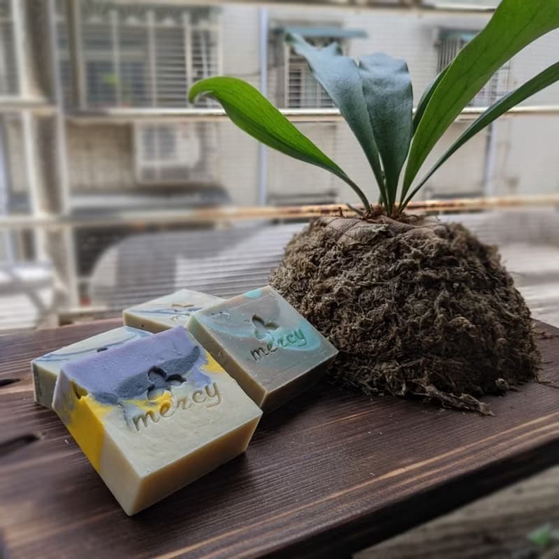 綠映竹風植萃精華手工皂禮盒組///四入禮盒組