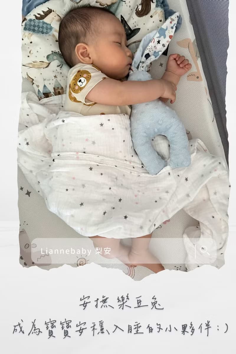 薰紫兔野花園 新生兒禮盒  豪華嬰兒禮物 滿月禮 彌月禮盒