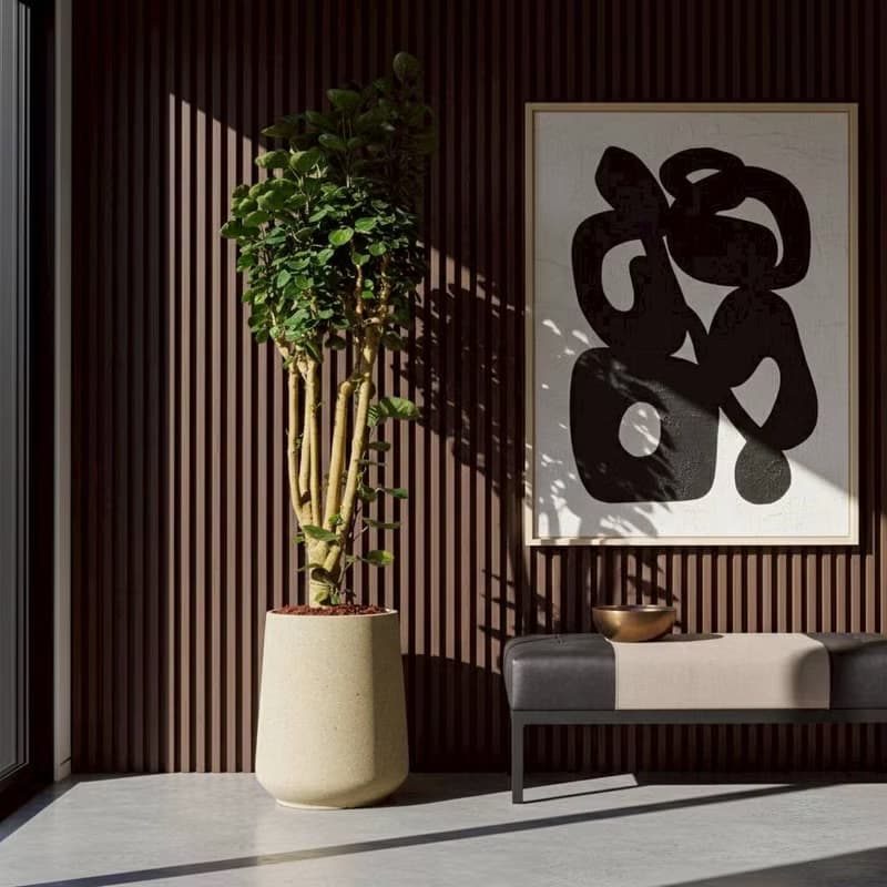 虹玉福祿桐 落地盆栽 大盆栽 拿鐵棕磨石子花盆 開幕送禮 喬遷禮