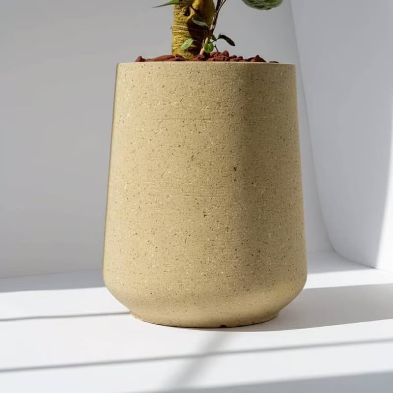 虹玉福祿桐 落地盆栽 大盆栽 拿鐵棕磨石子花盆 開幕送禮 喬遷禮