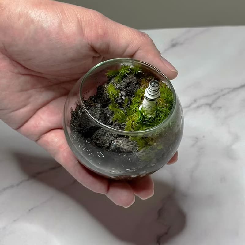 新品上市 燈塔守望 / 超迷你掌上型手工微景觀生態盆