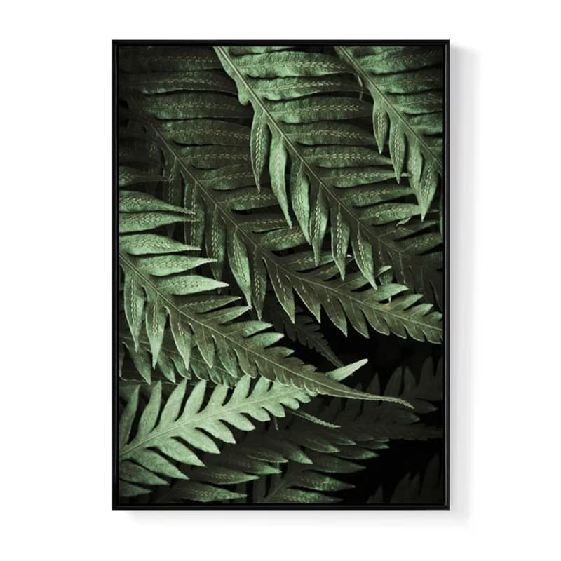蔓蔓日茂－北歐風植物攝影掛畫/綠意蕨類畫作/綠色/客廳裝飾畫