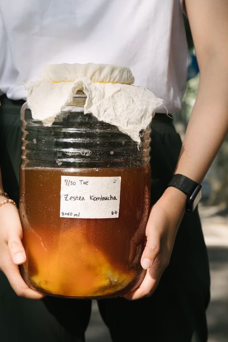 Zestea生茶啤酒花康普茶 300ML*12瓶 (無添加、富含益生菌)