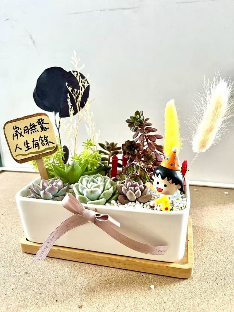 櫻桃小丸子ちびまる子ちゃん 日式 多肉組盆 多肉植物 生日小丸子