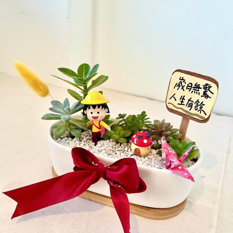 櫻桃小丸子ちびまる子ちゃん 日式 多肉組盆 多肉 創意盆栽 盆栽