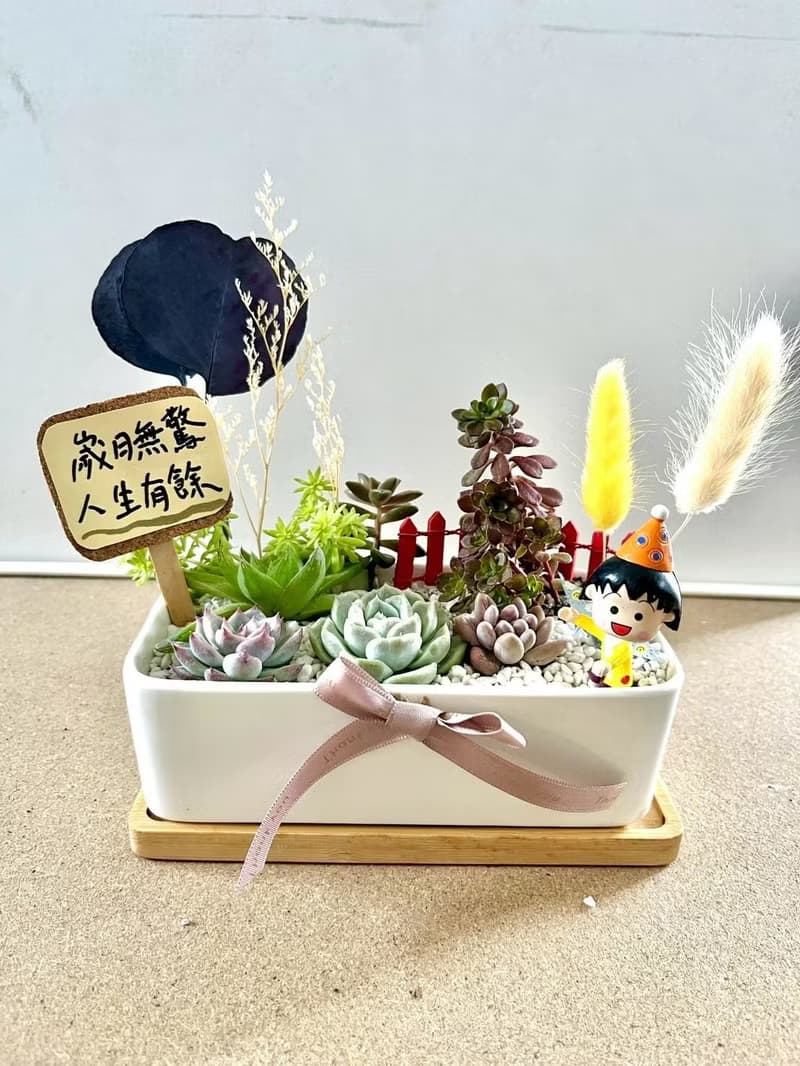櫻桃小丸子ちびまる子ちゃん 日式 多肉組盆 多肉植物 生日小丸子
