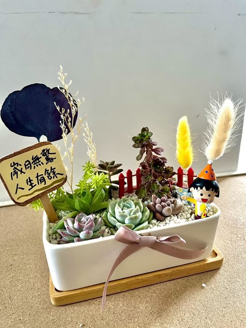 櫻桃小丸子ちびまる子ちゃん 日式 多肉組盆 多肉植物 生日小丸子