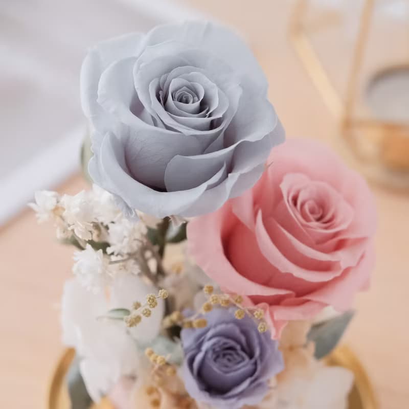 永生玫瑰玻璃鐘罩・情人節 永生花 不凋花 玻璃花盅 生日禮 送禮