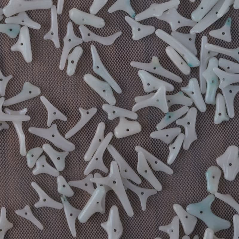 White coral | 白珊瑚のイヤーカフ | ３月誕生石