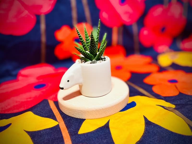 動物園系列_日本設計師合作_多肉植栽擴香花器