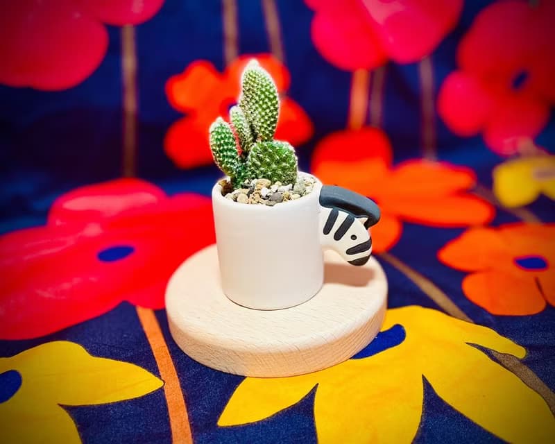 動物園系列_日本設計師合作_多肉植栽擴香花器