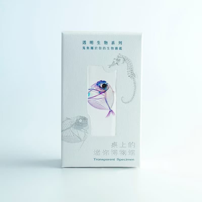 透明標本 眼眶魚 皮刀 魚類標本 台灣海洋生物