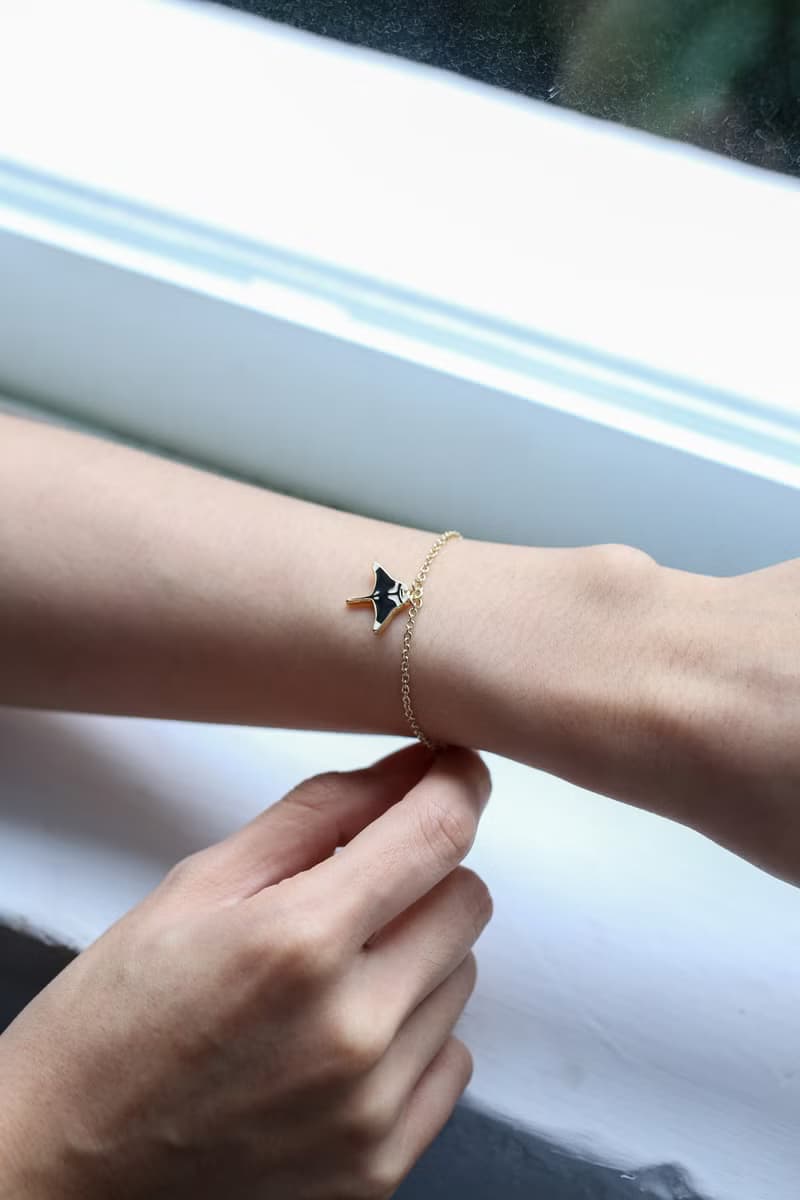 海洋生物 腦海工作室 手鍊 鯊魚 魔鬼魚 海龜 紙盒包裝