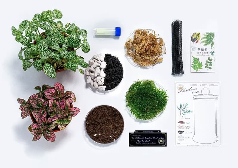 螢光蕈植物生態瓶 線上手作 DIY材料包/附線上教學影片