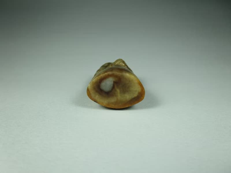 雕件 印紐系列-生生不息 褐皮油青種緬甸玉