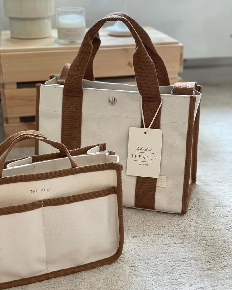 韓國 The Ally | LUNA BAG (附內袋)| 啡色 | 手袋 單肩包