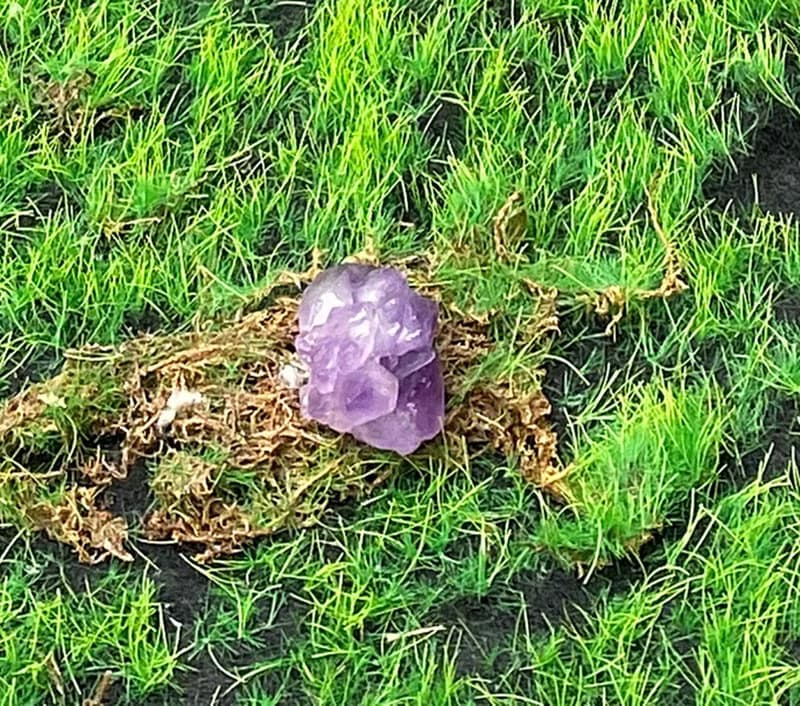 天然可愛夢幻紫晶花骨幹水晶 紫水晶 療癒 招財 智慧 財運 開運