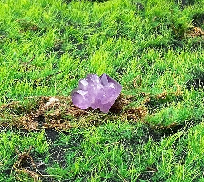 天然可愛夢幻紫晶花骨幹水晶 紫水晶 療癒 招財 智慧 財運 開運