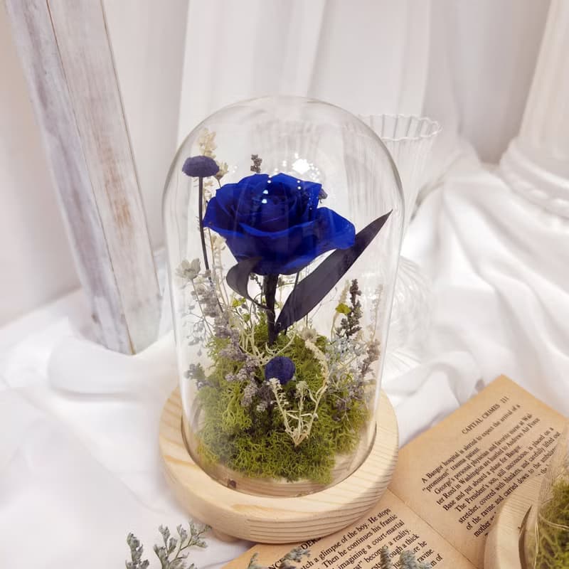 小王子夜燈 藍色永生花鐘 玻璃鐘罩 永生花 乾燥花 永生花夜燈