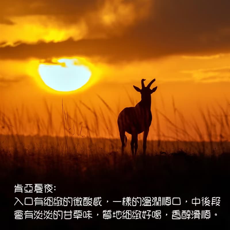 【義式咖啡豆-05A】曼巴黑潮 肯亞夏夜 經典配方豆 買一送二