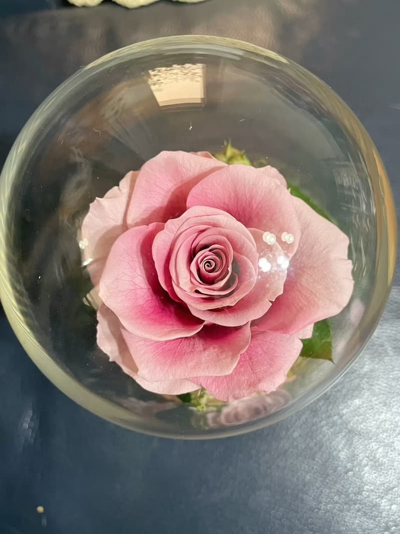 【永生花禮】小王子與他的玫瑰玻璃盅/永生花禮/祝賀花禮/情人節