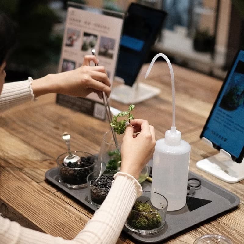 【體驗】小島│苔球花藝(2球) - 花點時間門市平板DIY課程
