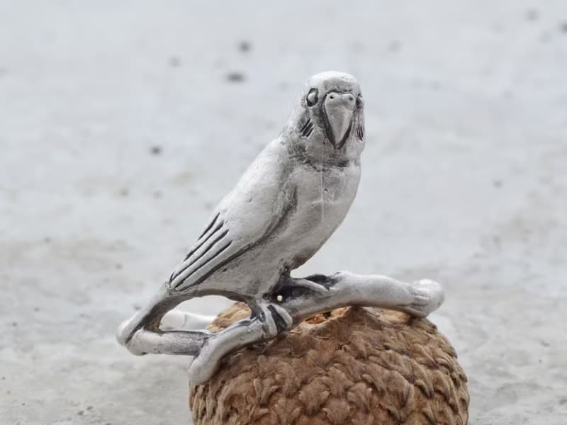 セキセイインコの指輪