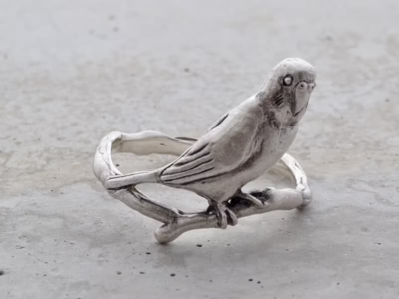 セキセイインコの指輪