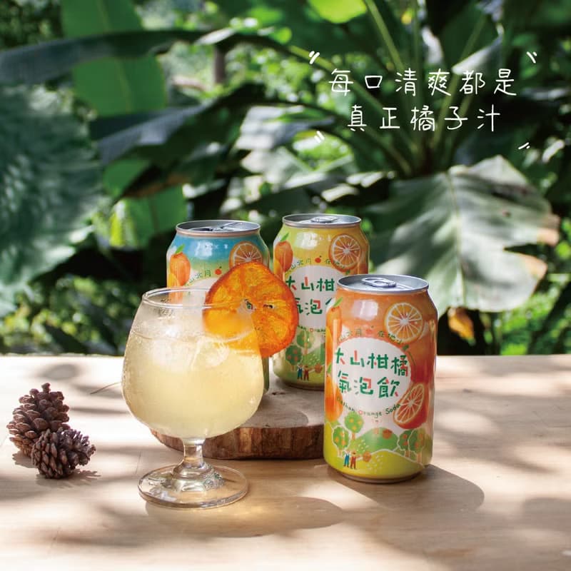 【小桔禮盒】新竹縣大山背小農特產 柑橘特色產品 自由搭配