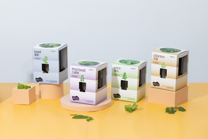 優惠組合x４-自家栽種廚房香草: Veggroom 水耕香草種植套裝