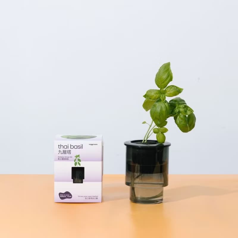 優惠組合x４-自家栽種廚房香草: Veggroom 水耕香草種植套裝