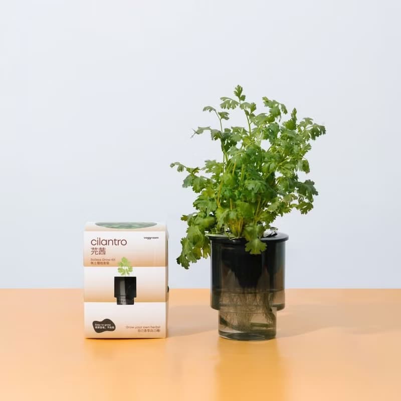 優惠組合x４-自家栽種廚房香草: Veggroom 水耕香草種植套裝
