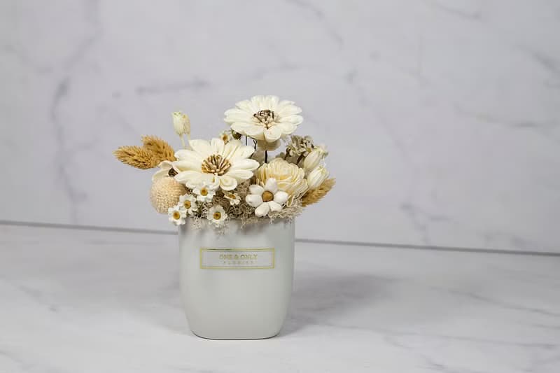 純粹 - 永生花  乾燥花  生日禮物 盆花 情人節禮物 送禮