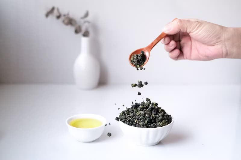 四季春高山茶 | 松柏嶺茶區 | 活潑茶香 | 松柏長青