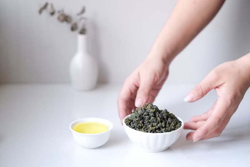四季春高山茶 | 松柏嶺茶區 | 活潑茶香 | 松柏長青