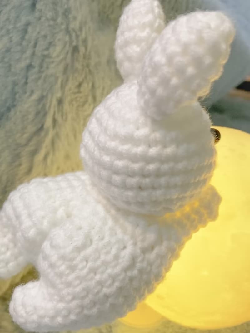 【成品】中秋節限定 | 鉤織中秋裸兔奔月 裝飾燈