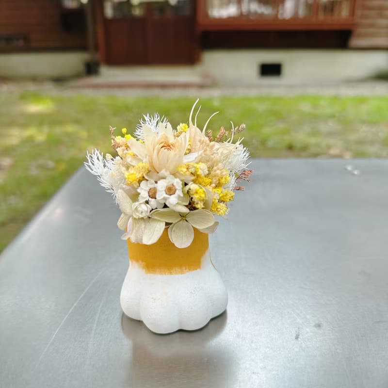 喵星人 乾燥花 永生花 乾燥花盆 盆栽 佈置 情人節 療癒 花禮
