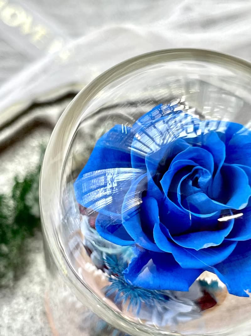 Rosemary小小花園玻璃罩-爵士與舞孃   永生花/情人節/生日/畢業