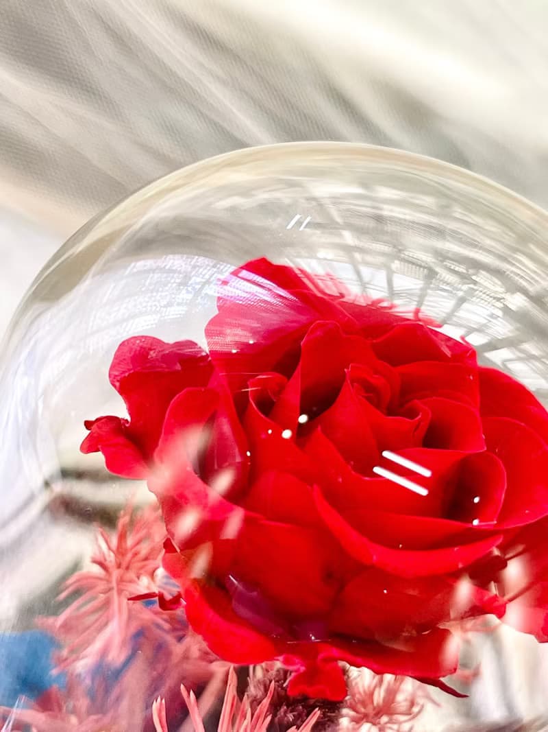 Rosemary小小花園玻璃罩-爵士與舞孃   永生花/情人節/生日/畢業