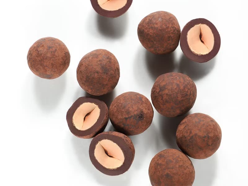 CATÀNIES AVELLANA HAZELNUT 亞飛亞納 榛果黑巧克