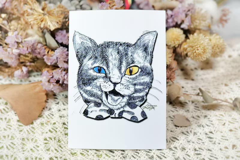 傲嬌貓─手繪日製動物療癒防水貼紙/小卡片/行李箱/筆電