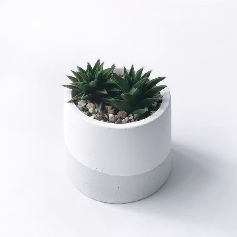 (現貨) 白灰漸層系列 | 黑舌 五重塔 圓形漸層水泥多肉植栽