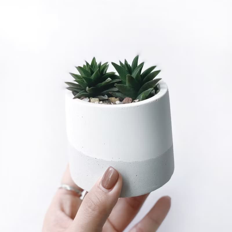 (現貨) 白灰漸層系列 | 黑舌 五重塔 圓形漸層水泥多肉植栽