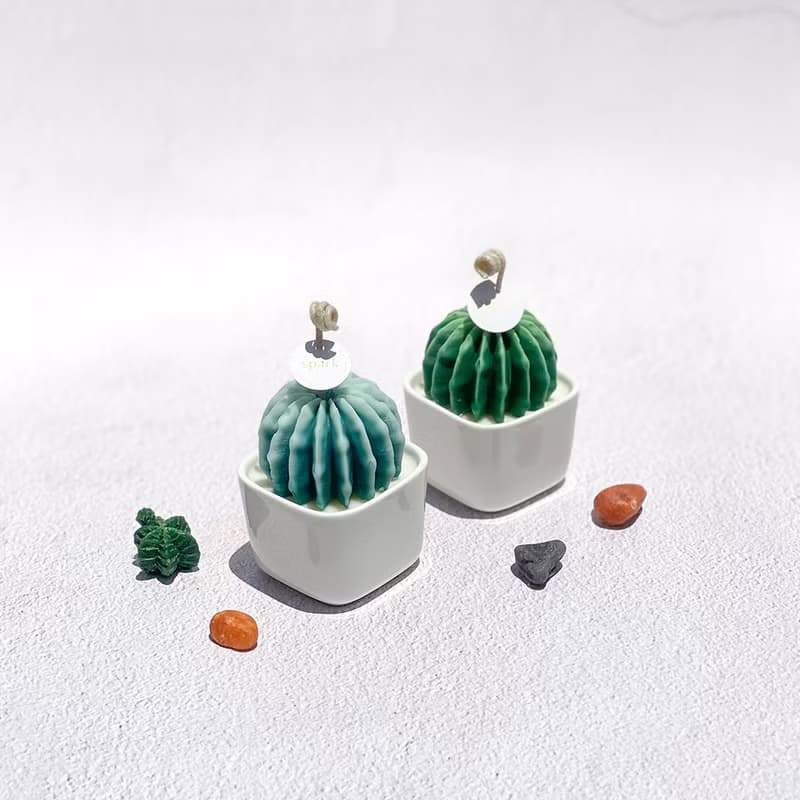 短毛丸盆栽蠟燭 | 多肉植物仙人掌蠟燭