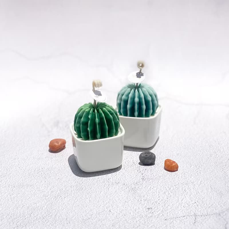 短毛丸盆栽蠟燭 | 多肉植物仙人掌蠟燭
