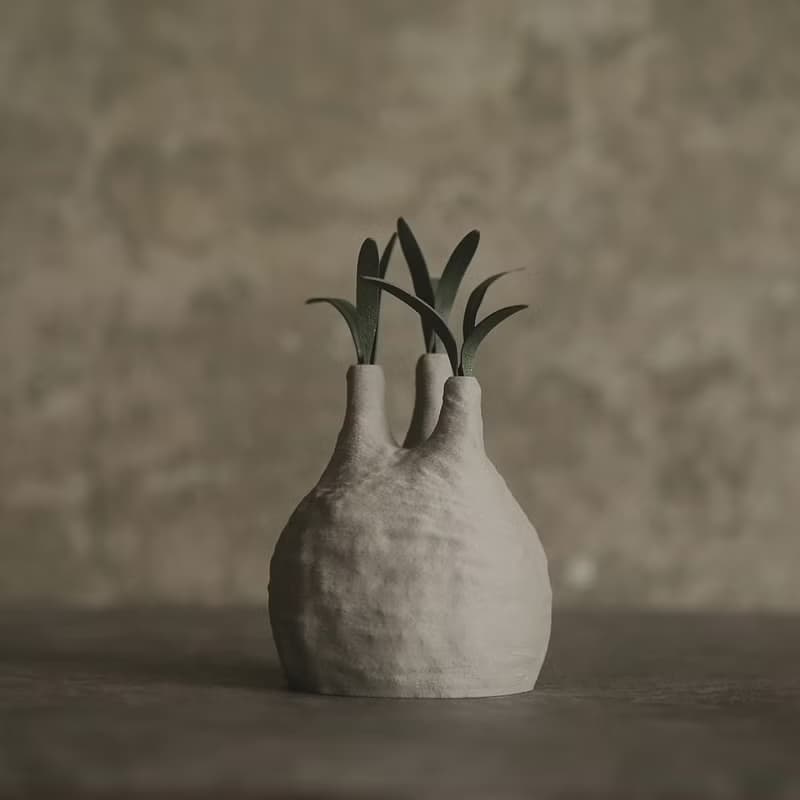 塊根植物撲滿-象牙宮