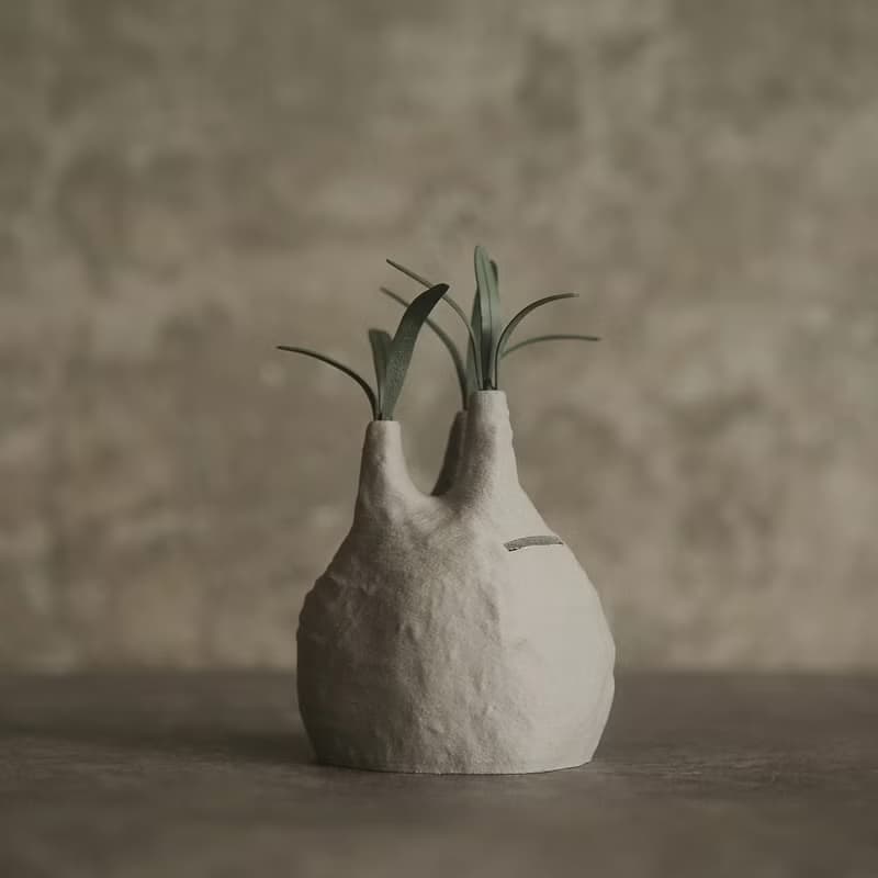 塊根植物撲滿-象牙宮