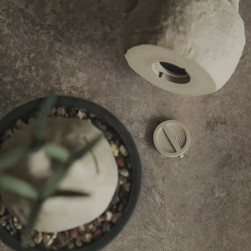 塊根植物撲滿-象牙宮