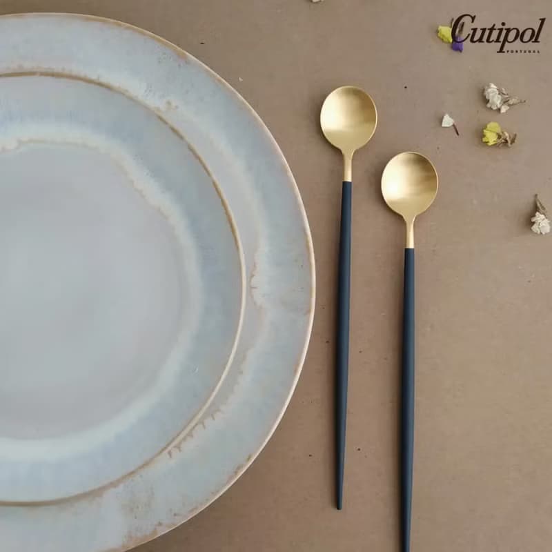 葡萄牙Cutipol GOA系列白柄21cm主餐匙