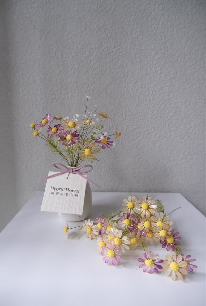 瓶子裡的春天_小雛菊